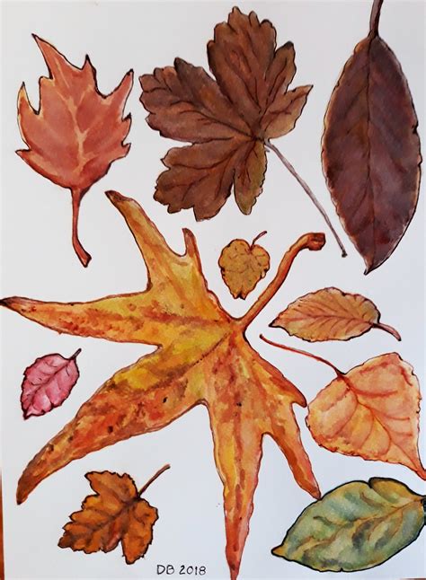 Foglie D Autunno Disegno Acquerello Di Daniela Bertoni Disegno