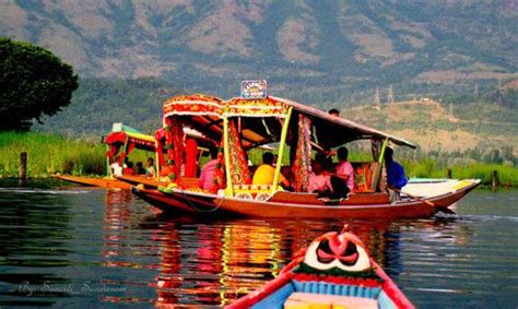 Shikara Rides In Kashmir Srinagar By Golden Meadows Tour And Travels