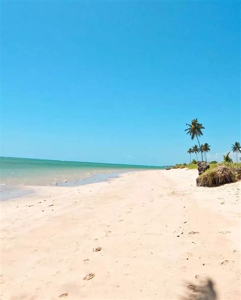 Praia Do Patacho Um Destino Tranquilo E Fascinante No Litoral Norte De