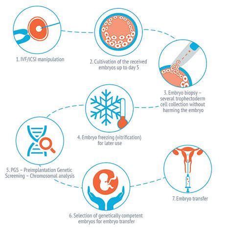 Pgs And Pgd Test For Ivf Pgs Test Cost Singla Mediclinic