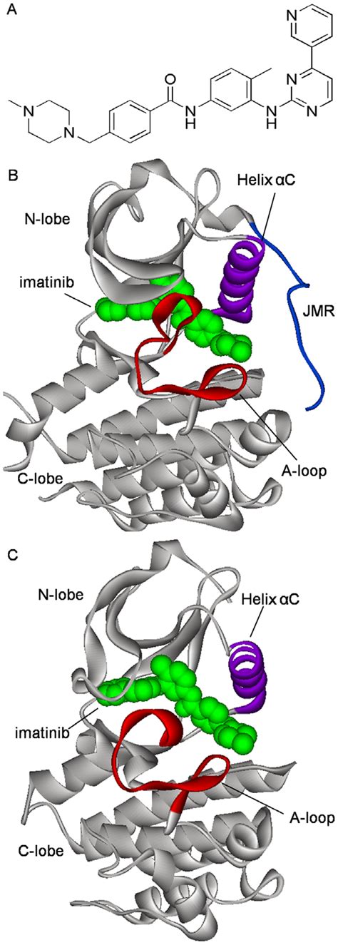 Chemical Structure Of Imatinib And Its Binding Modes To C Kit And Abl Download Scientific