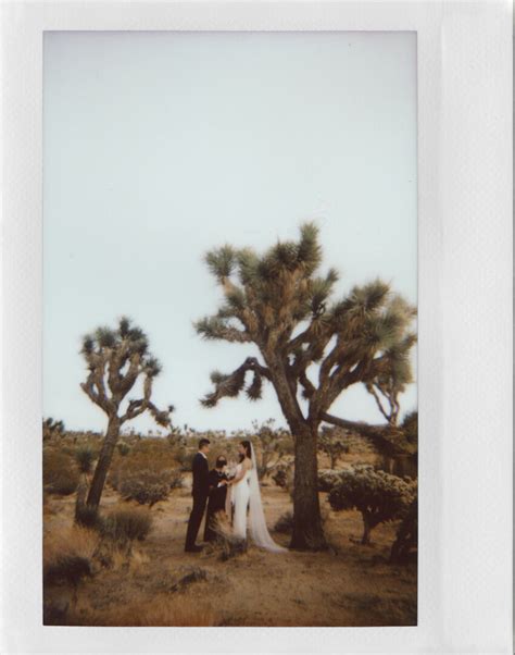 A Wedding On Polaroid Gaby J Photography