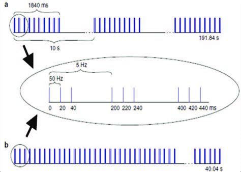 Différentes Modalités De Stimulation Théta Burst Tbs Daprès