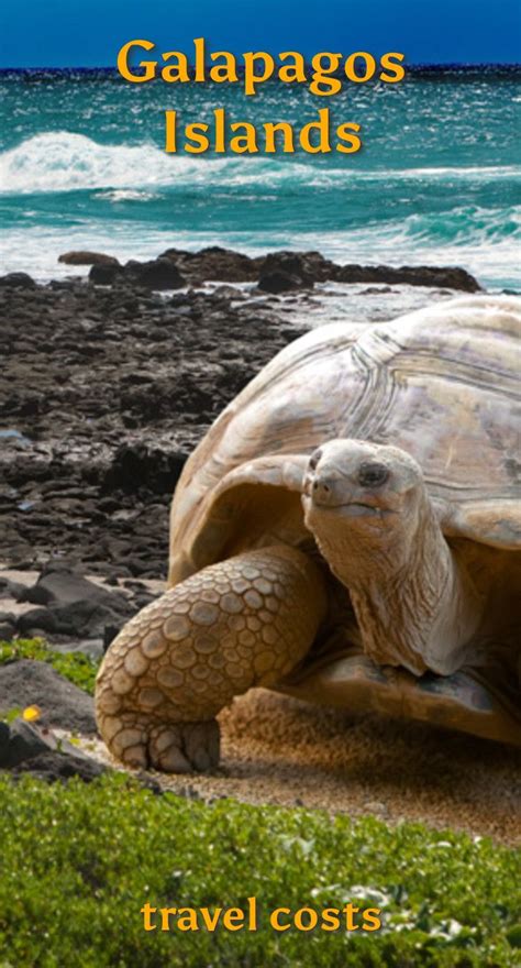 Galapagos Islands Travel Cost Average Price Of A Vacation To