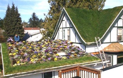 How To Install And What Are The Benefits Of A Grass Roof Green Roof Grass Roof Green Roof System