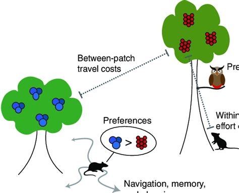 The Behavioral Ecological Tradition Provides A Compelling Framework For