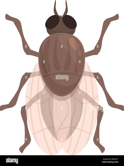 Etching Tsetse Fly Icon Cartoon Vector Africa Insect Nature Wings