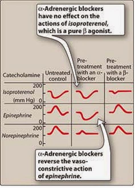 Pharmacological Blog Propranolol