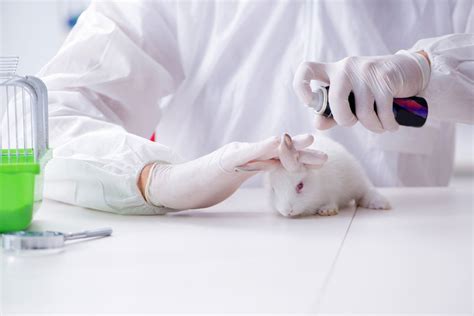 What Are the Alternatives to Animal Testing? | Live Science