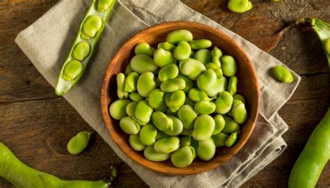 Pueden Los Cachorros Comer Frijoles Horneados