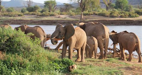 Tour Safari En Kenia Zanz Bar Munnsafaris