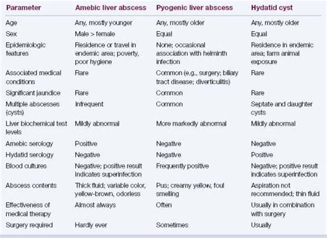 Different Types Of Liver Abscess Medizzy