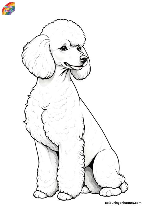 15 Coloring Pages Of Poodles Free Printables