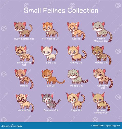 funny animal scientific names 8