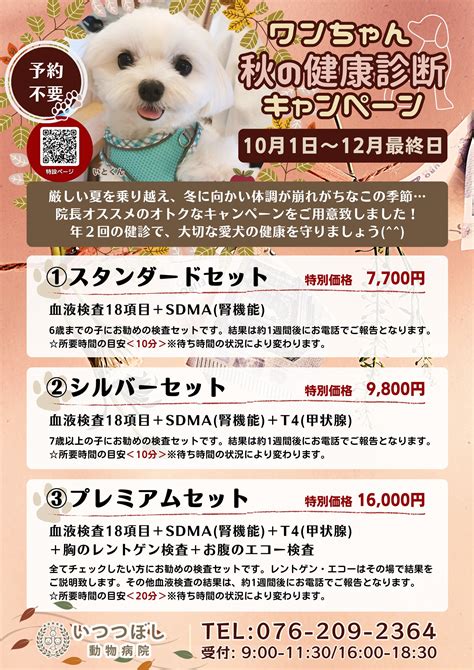 ワンちゃん秋の健康診断キャンペーン（2023年10月～12月） 石川県 野々市市｜いつつぼし動物病院｜腫瘍科・皮膚科｜犬、猫、うさぎ