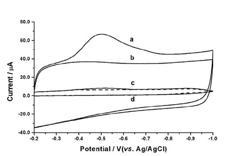 Cyclic Voltammograms Of The Mwcnts Modified Gce A B Or The Bare Gce Download Scientific