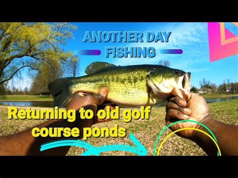 Another Day Fishing Returning To Old Golf Course Ponds Youtube