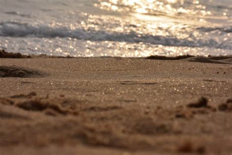 Une Femme D Couvre Une Trange Cr Ature Chou E Sur La Plage