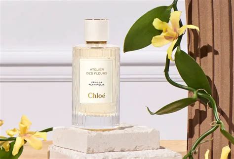 5 Best Perfume Similar To Inis - Grooming Wise