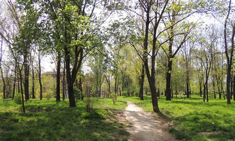 A Fost Semnat Contractul Pentru Reabilitarea Parcului Ciurchi