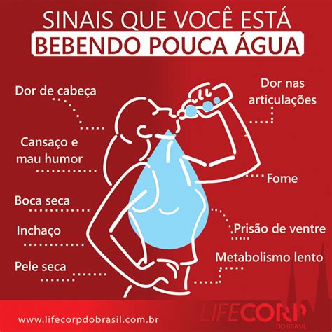 Importância Da Agua Para O Corpo - Qual a importância da água para o corpo? - Rondo Rural Notícias
