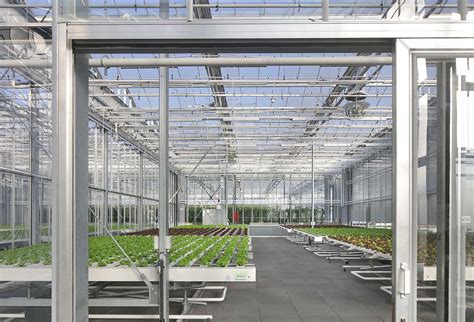 AGROTOPIA THE BIGGEST ROOFTOP GREENHOUSE IN EUROPE