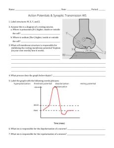 C 6 QUIZ NERVOUS SYSTEM Year 5 MYP