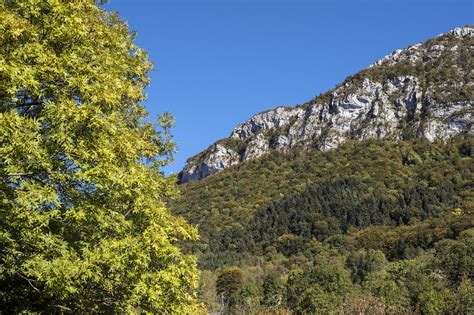 Automne En Chartreuse Alec B Trancourt Flickr