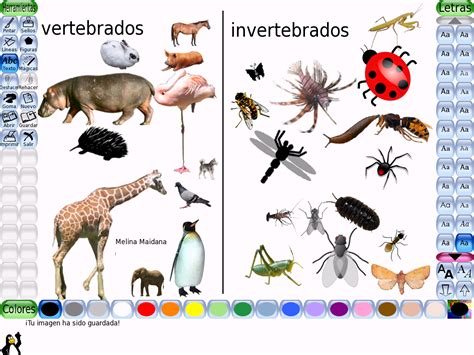 Vertebrados E Invertebrados Vertebrates And Invertebrates Fish Life