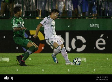 SC Chapeco 20 05 2017 Brasileiro A 2017 Chapecoense X Palmeiras