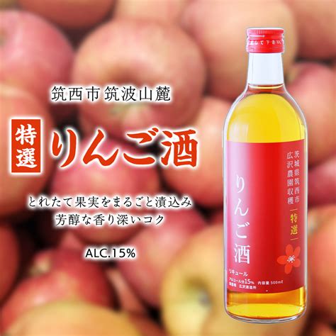 特選 】 りんご酒 アルコール 15％ （ 500ml × 1本 ） 果実酒 お酒 酒 リンゴ りんご 林檎 Dp006ci の返礼品詳細