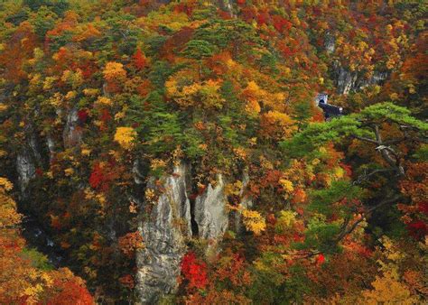 東北秋天賞楓景點10選＆最佳賞楓期：奧入瀨溪流、鳴子峽、抱返溪谷等 Live Japan 日本旅遊 ‧文化體驗導覽