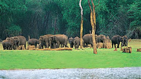 Idukki-Wildlife-Sanctuary - Kerala Tourism