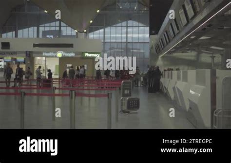 People In Line To Check In Counter Early Morning In Pulkovo Airport