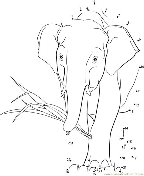 African Elephant Walking Dot To Dot Printable Worksheet Connect The Dots