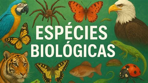 O Que Sao Especies - ESPÉCIES BIOLÓGICAS : Animais Símbolos Nacionais - Águia-careca ...