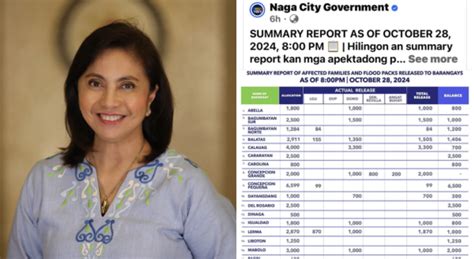 Irresponsible Post Robredo Pumalag Sa Summary Report Ng Naga City