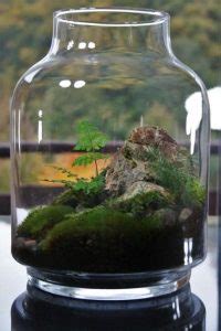 Bonsai Terrarium Miniature Landscaping Jars Savillefurniture