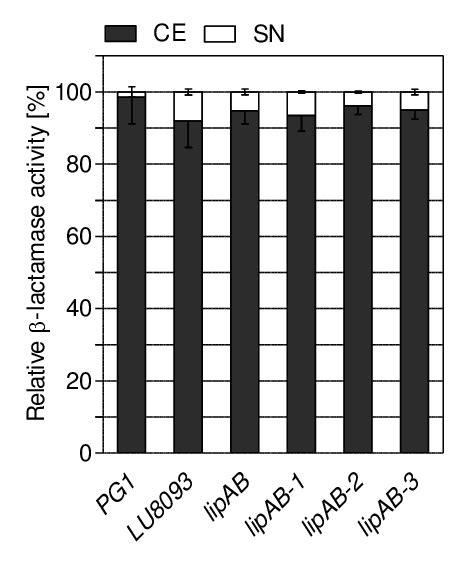 Fig S1 Determination Of Relative β Lactamase Activities In Cell