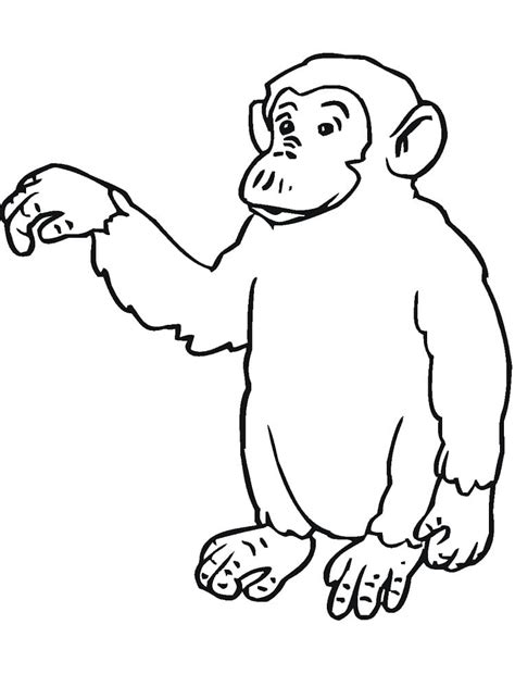 Desenhos de Chimpanzé Selvagem para Colorir e Imprimir ColorirOnline