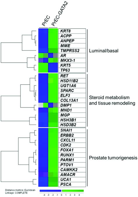 Agilent Whole Genome Microarray Gene Expression Data Heat Map Of