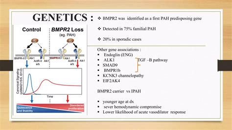 Pulmonary Hypertension Pptx