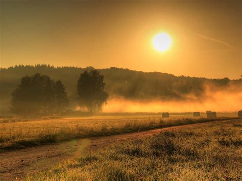 Sunrise Field 4K wallpaper download