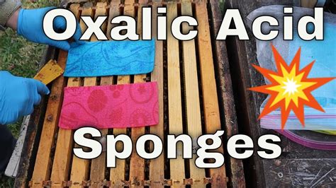 Making Randy Oliver S Oxalic Acid Sponges YouTube