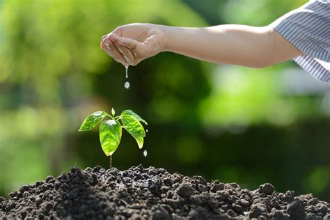 Ecologie Aje Environnement