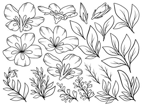 Premium Vector Flowers Line Art Arrangement