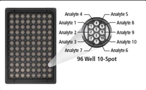 MSD Assay Kits