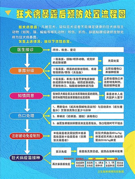 Post Exposure Prophylaxis Flowchart For Rabies Display Board Process