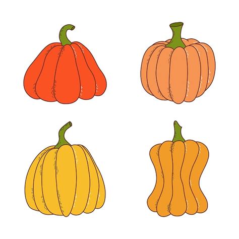 Conjunto de calabaza de varias formas y colores elementos de acción de