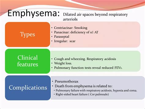 Lecture 5 Asthma And Copd Ppt